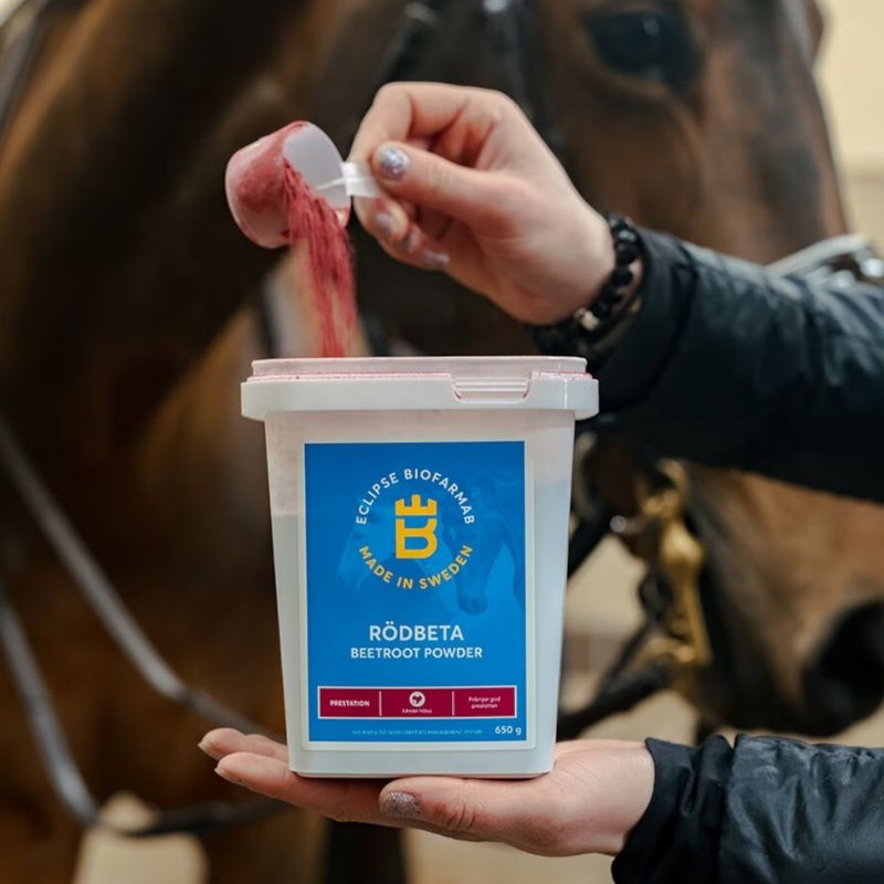 Rødbete 650g