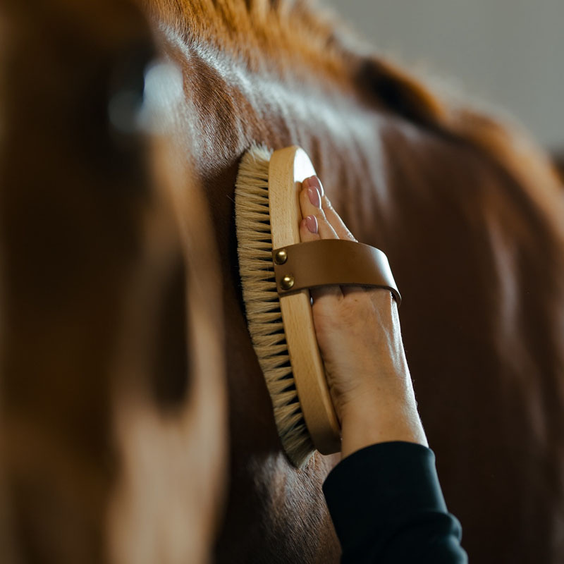 Børste med lærrem Takel Brun