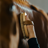 Børste med lærrem Takel Brun Børste med lærrem Takel Brun