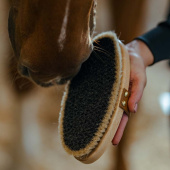 Børste med lærrem Takel Brun Børste med lærrem Takel Brun