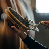 Børste med lærrem Takel Brun Børste med lærrem Takel Brun