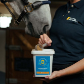 Munkpepper Munkpepper