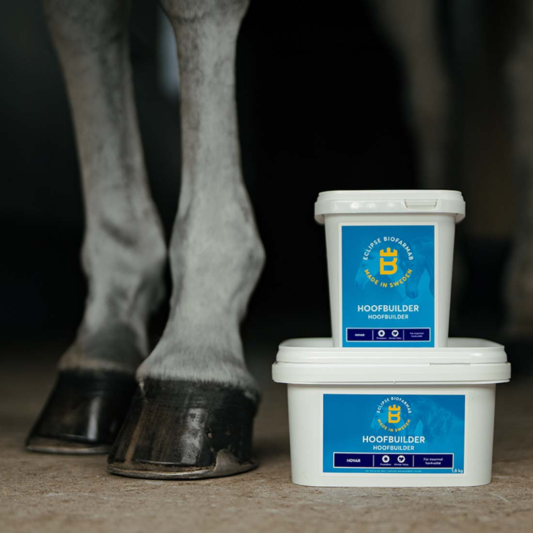 Hoofbuilder