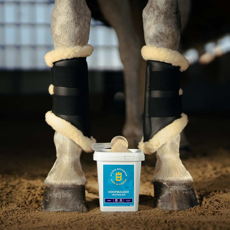 Hoofbuilder