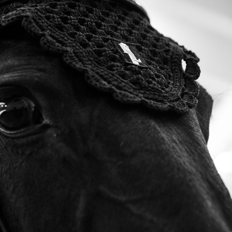 Ørehette Classic Svart