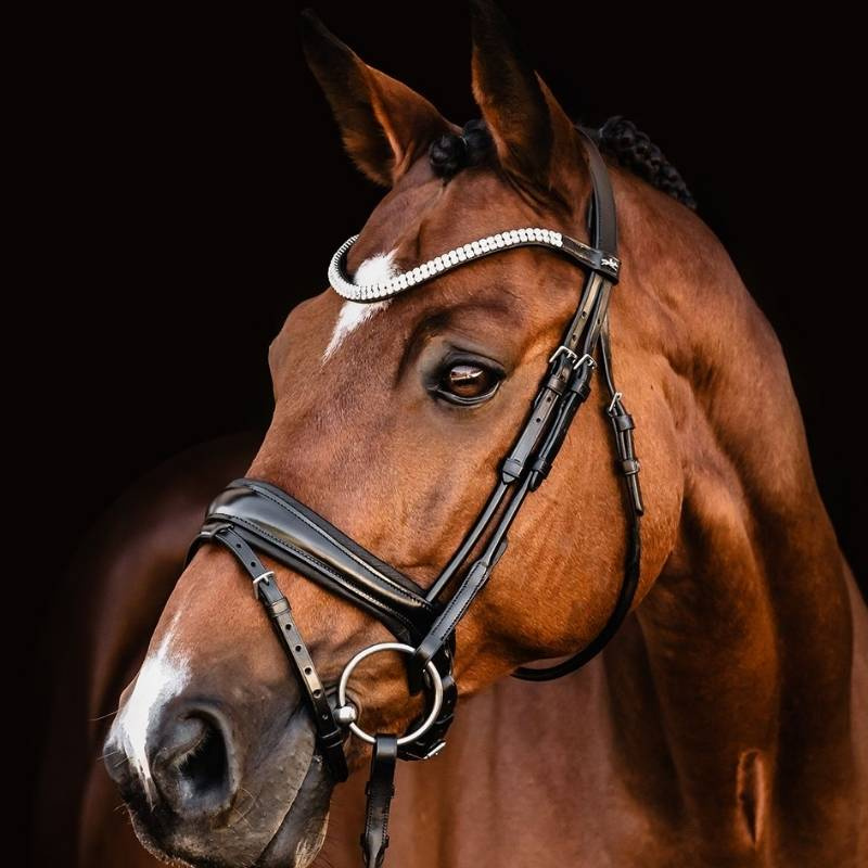 Dressurhodelag Isabell Werth Johnny Svart
