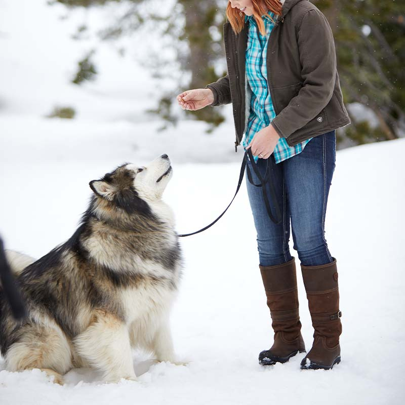 Støvler Langdale H2O Brun