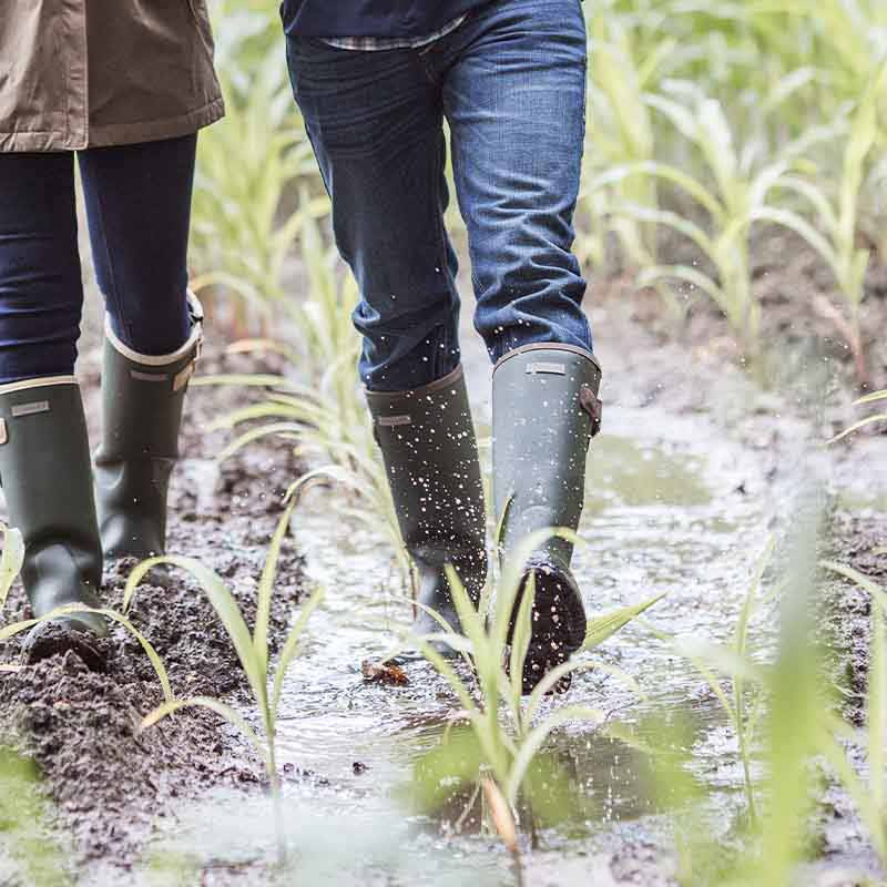 Isolerte Gummistøvler Herre Burford Grønn