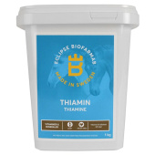Thiamin Thiamin