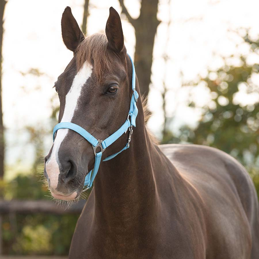 Grime Slide Lyseblå