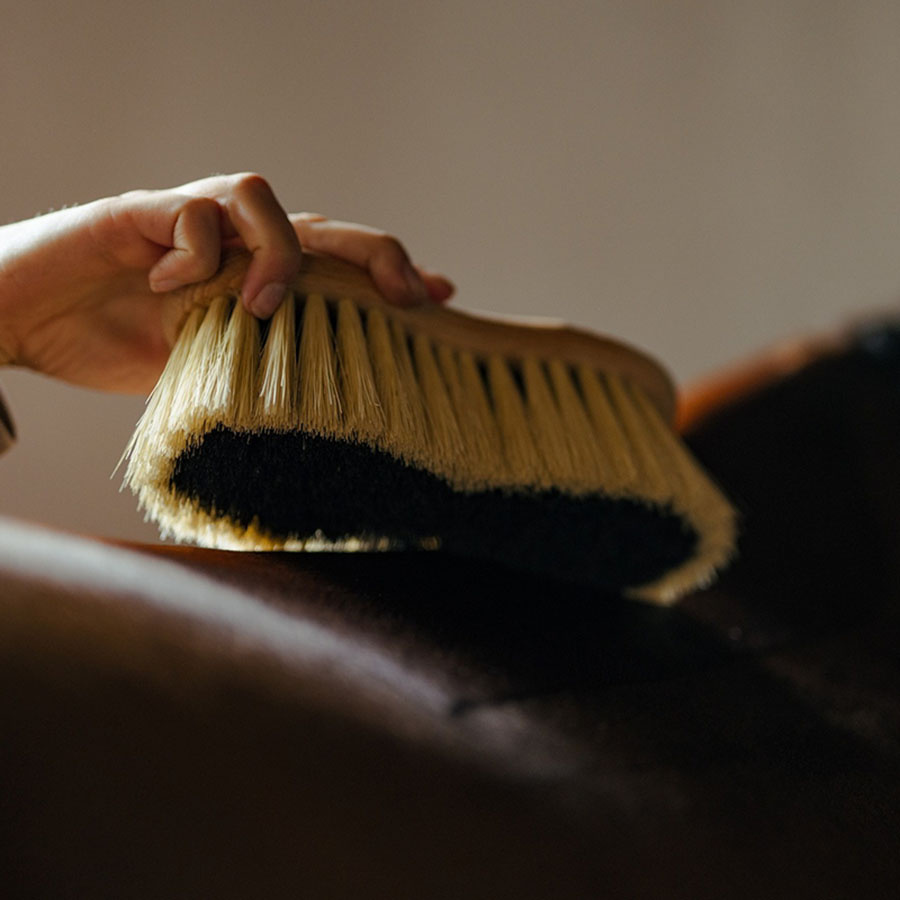 Midjebørste Mix Mex Brun