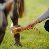 Børste Isländingen Bassine Brun Børste Isländingen Bassine Brun