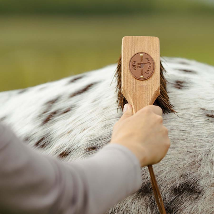 Børste Isländingen Bassine Brun