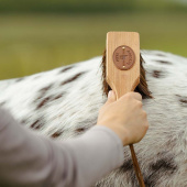 Børste Isländingen Bassine Brun Børste Isländingen Bassine Brun