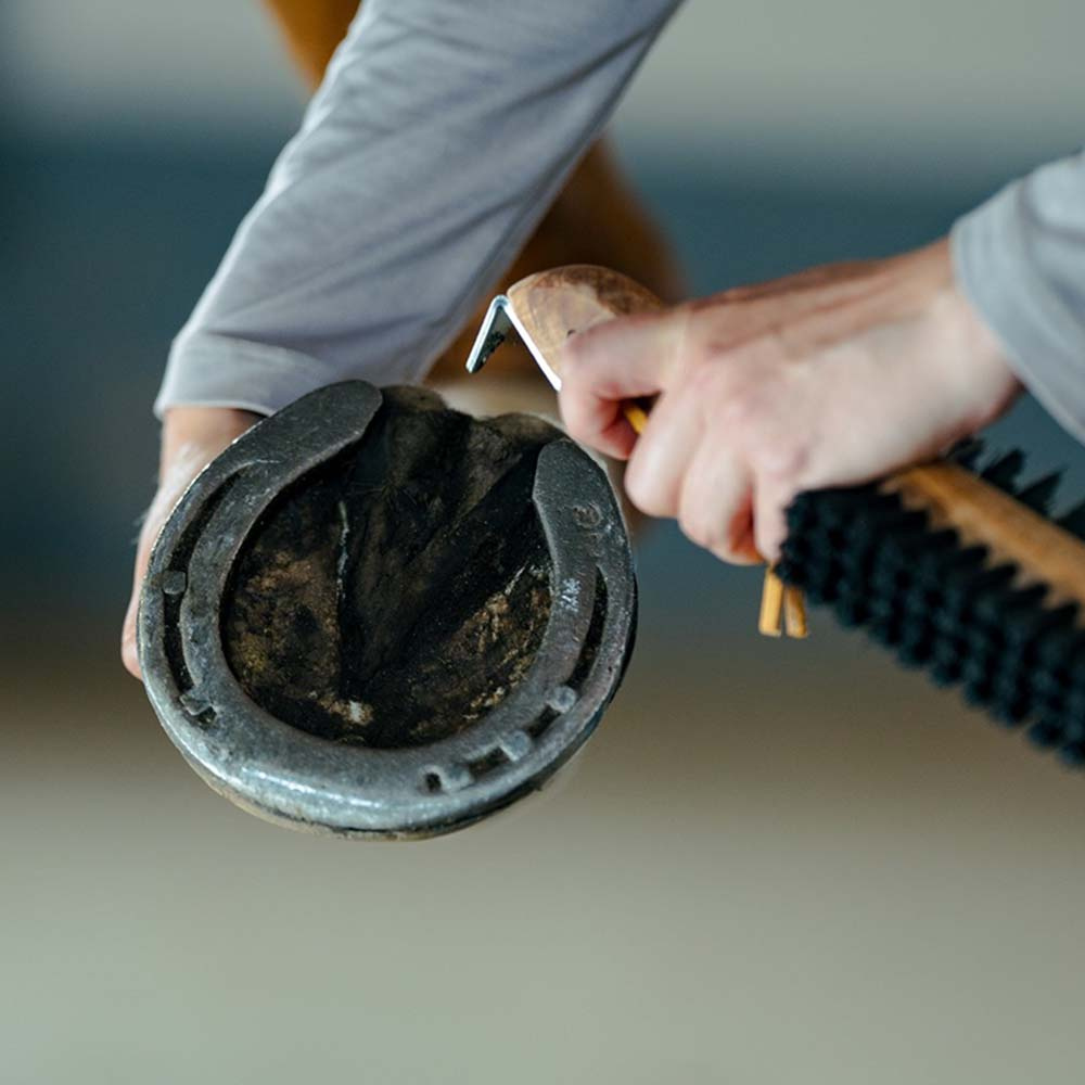 Hovbørste med skrape Dobbelsidig Brun