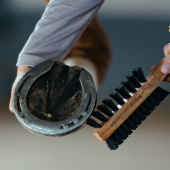 Hovbørste med skrape Dobbelsidig Brun Hovbørste med skrape Dobbelsidig Brun