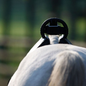 Føllvakt Birth Alarm Premium Føllvakt Birth Alarm Premium