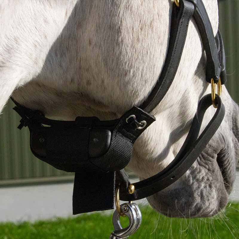 Føllvakt Birth Alarm Lite 2.0