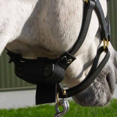 Føllvakt Birth Alarm Lite 2.0 Føllvakt Birth Alarm Lite 2.0