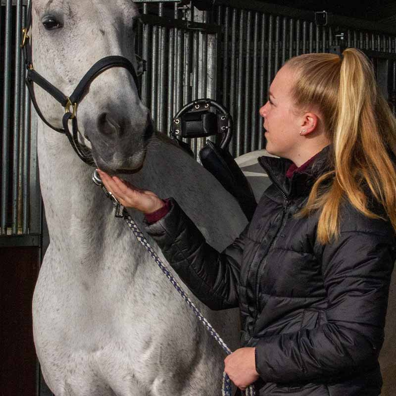 Føllvakt Birth Alarm Lite 2.0