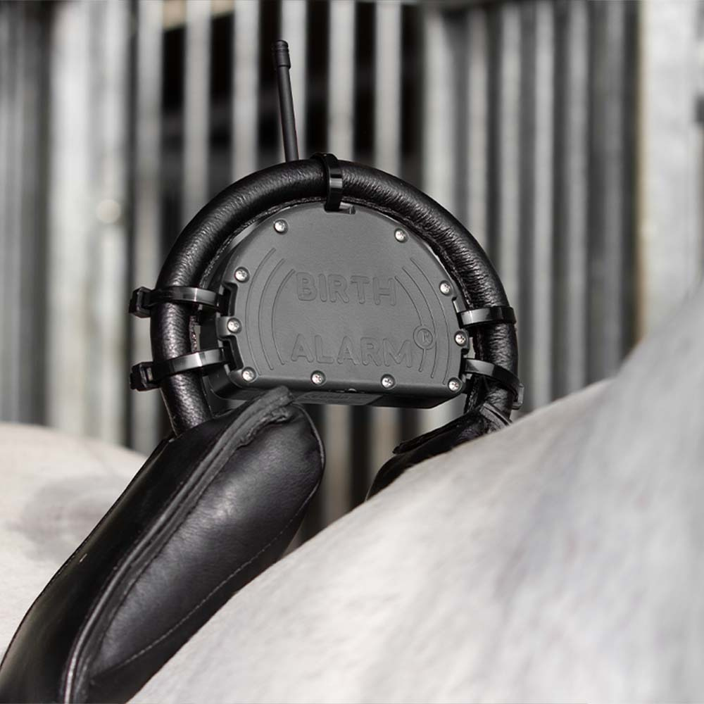 Føllvakt Birth Alarm Mobile 2.0