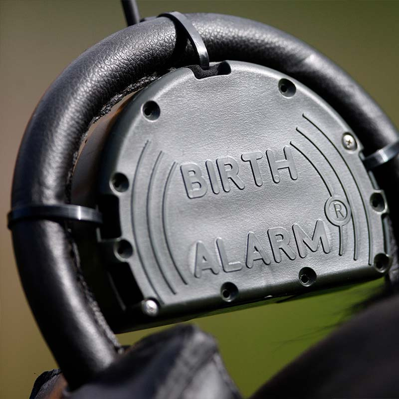 Føllvakt Birth Alarm Mobile 2.0