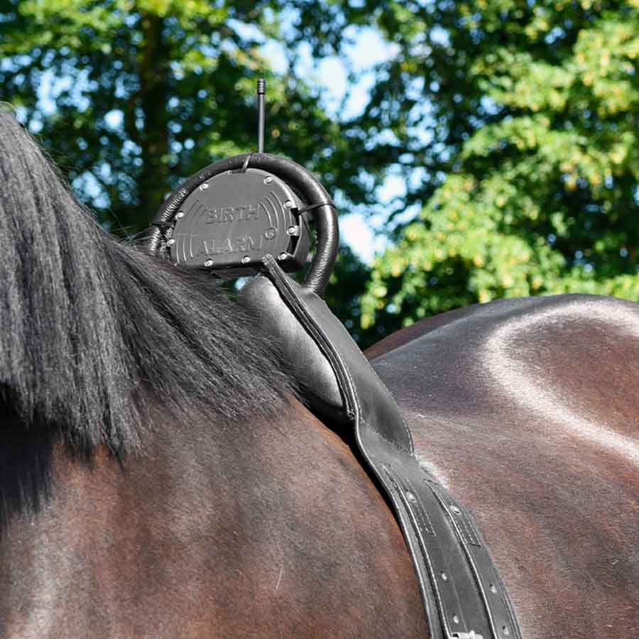 Føllvakt Birth Alarm Mobile 2.0 med Anti-Rullgjord & WiFi-Kamera