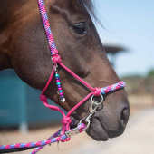 Taugrime med tøyler Combi Liberty Rosa Taugrime med tøyler Combi Liberty Rosa
