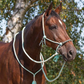 Taugrime med tøyler Combi Liberty Lysegrønn Taugrime med tøyler Combi Liberty Lysegrønn