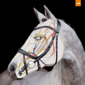 Hodelag Equitus Beta Brun Hodelag Equitus Beta Brun