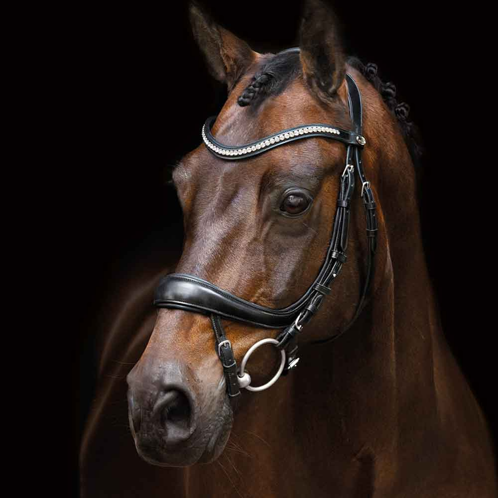 Hodelag Equitus Beta Svart