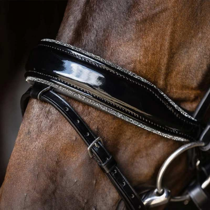 Dressurhodelag Stanford Glam Svart