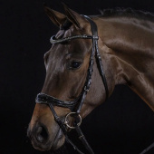 Hodelag Equitus Beta Glam Svart Hodelag Equitus Beta Glam Svart