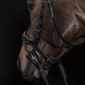 Hodelag Equitus Beta Glam Svart Hodelag Equitus Beta Glam Svart