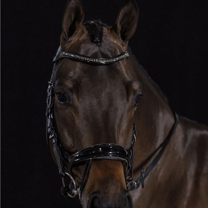 Hodelag Equitus Beta Glam Svart