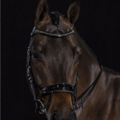 Hodelag Equitus Beta Glam Svart Hodelag Equitus Beta Glam Svart