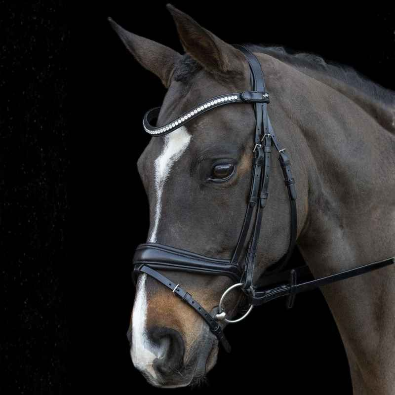 Dressurhodelag Charleston Svart