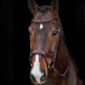 Hodelag Ancona Select Brun Hodelag Ancona Select Brun