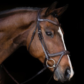 Hodelag Ancona Select Brun Hodelag Ancona Select Brun