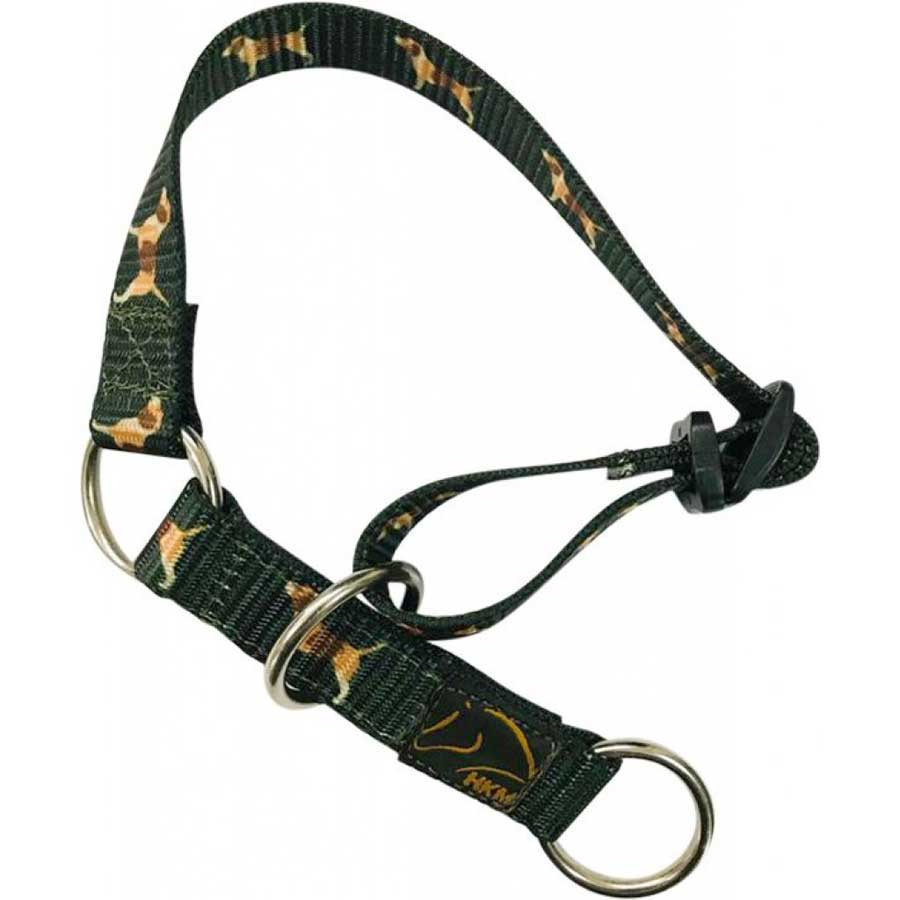 Hundehalsbånd Beagle Grønn