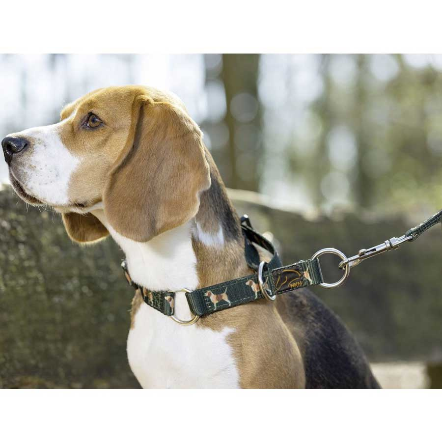 Hundehalsbånd Beagle Grønn
