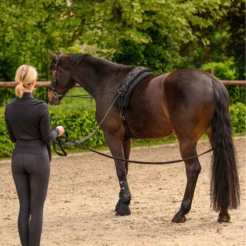 Dobbel Longeringsline Classic Svart