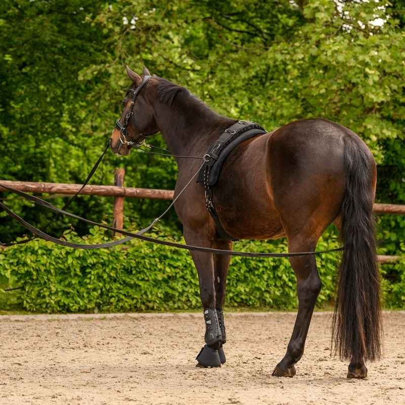 Dobbel Longeringsline Classic Svart