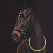 Halsring LED Lights Gul Halsring LED Lights Gul