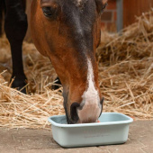 Multibox med Lokk 3L Blå Multibox med Lokk 3L Blå