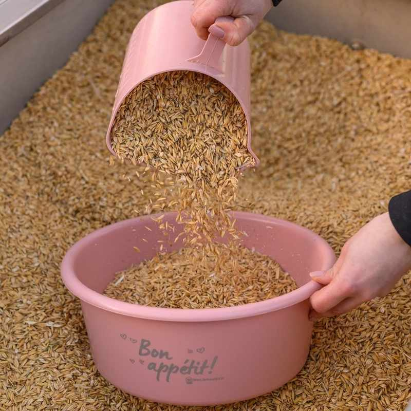 Fôrskål med Lokk 5L Rosa