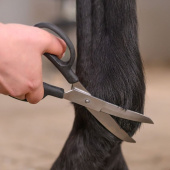 Saks Fetlock Shears Bend Svart Saks Fetlock Shears Bend Svart
