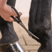 Saks Fetlock Shears Bend Svart Saks Fetlock Shears Bend Svart
