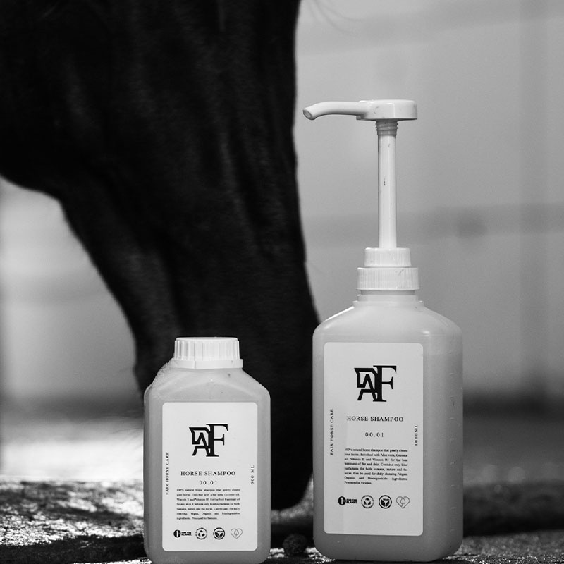 Sjampo Everyday Original 00.01