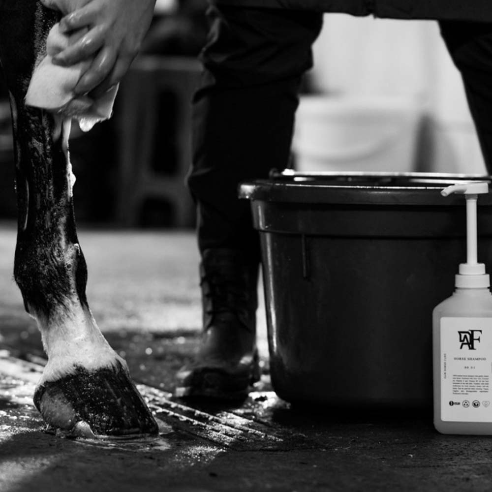 Sjampo Everyday Original 00.01